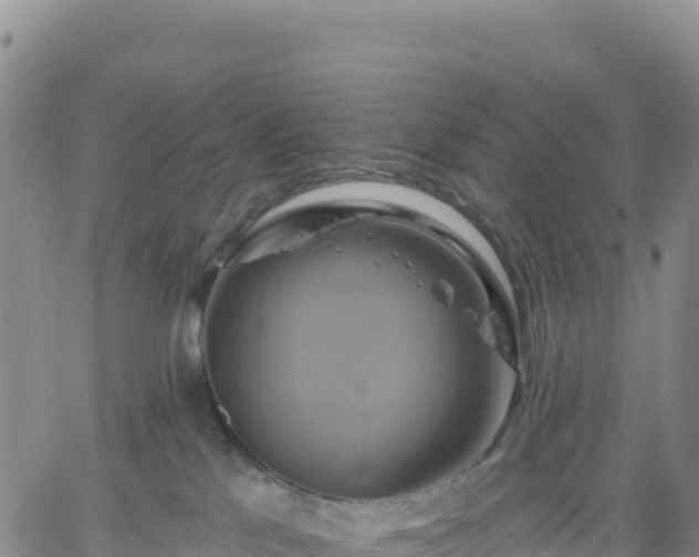 X0000061750041200512091647