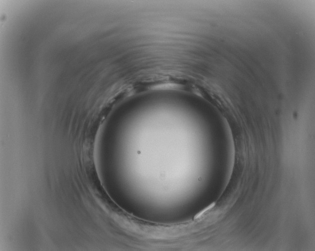 X0000061750044200512091647