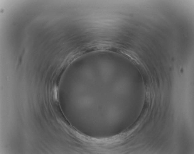 X0000061750046200512091647