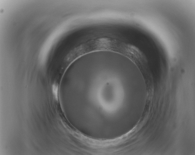 X0000061750047200512091647