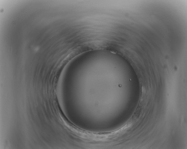 X0000061750048200512091647