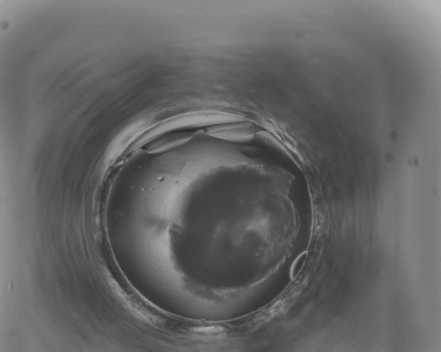 X0000061750053200512091646