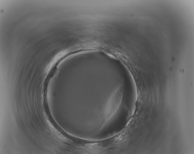 X0000061750054200512091646