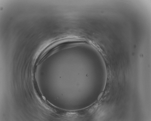 X0000061750055200512091646