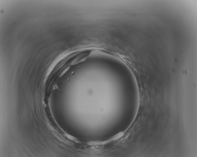 X0000061750056200512091646