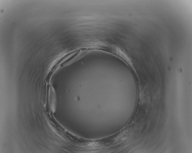 X0000061750059200512091646