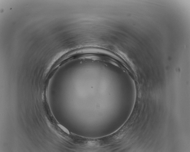 X0000061750060200512091646