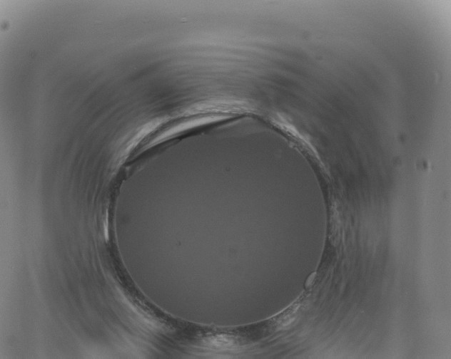 X0000061750062200512091646