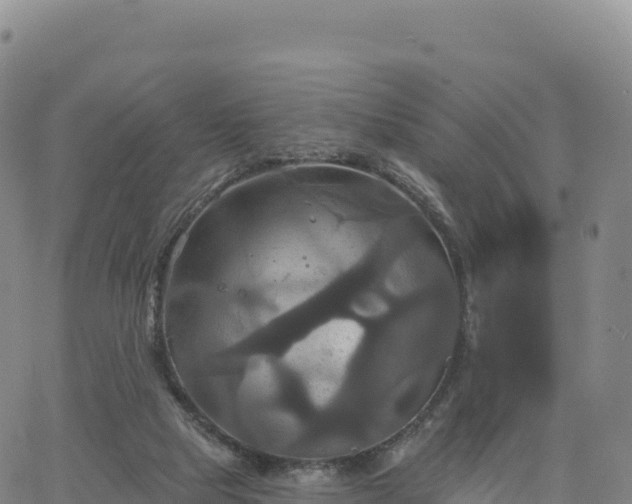 X0000061750065200512091646