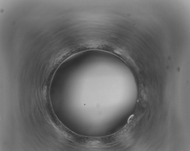 X0000061750066200512091646