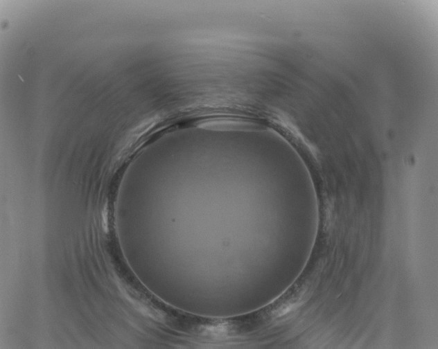 X0000061750068200512091646