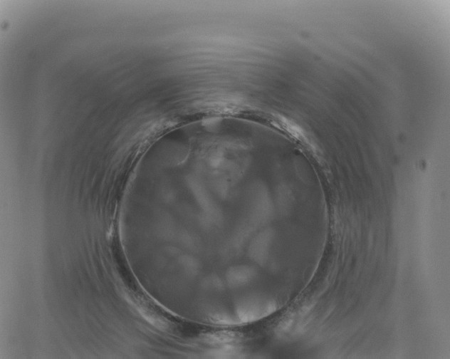 X0000061750069200512091646