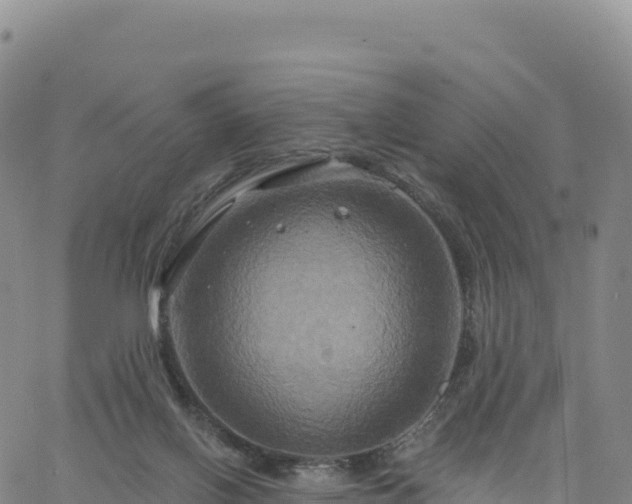 X0000061750070200512091646