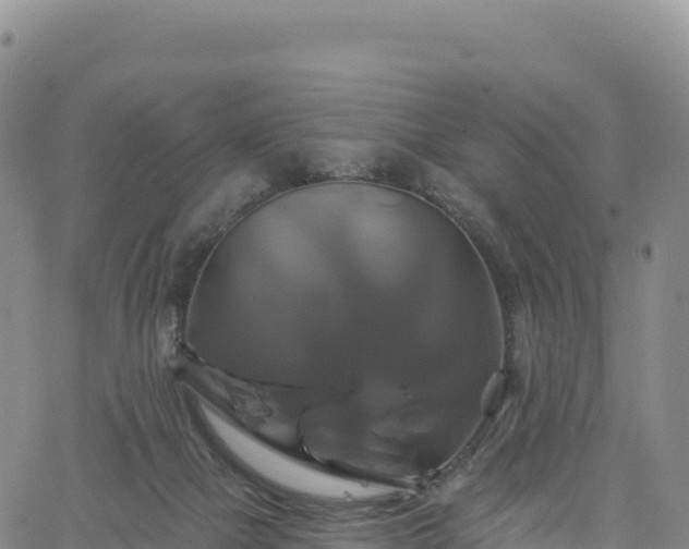 X0000061750073200512091646