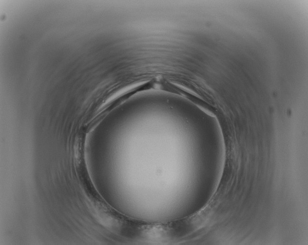 X0000061750074200512091646