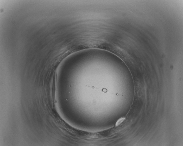 X0000061750075200512091646