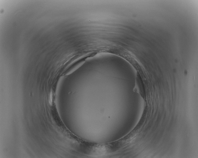 X0000061750076200512091646