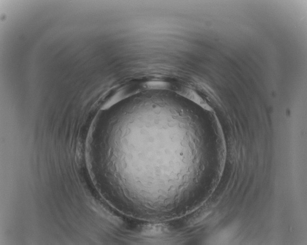 X0000061750077200512091646