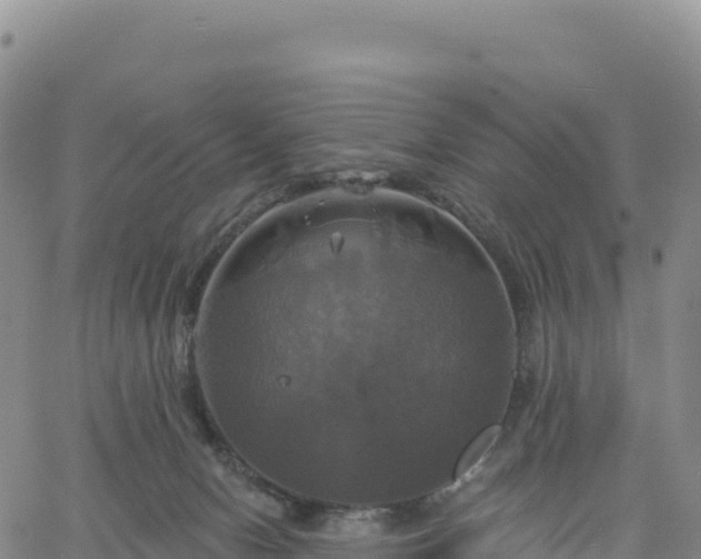 X0000061750078200512091646