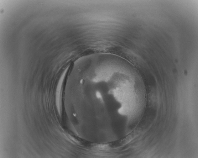 X0000061750081200512091646