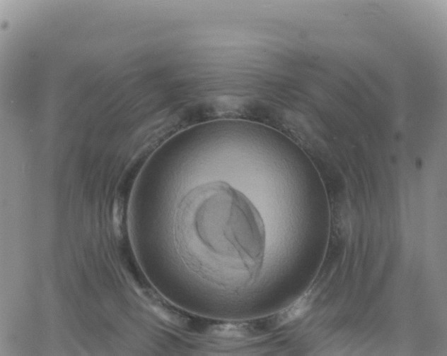 X0000061750082200512091646