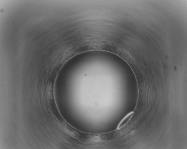 X0000061750083200512091646