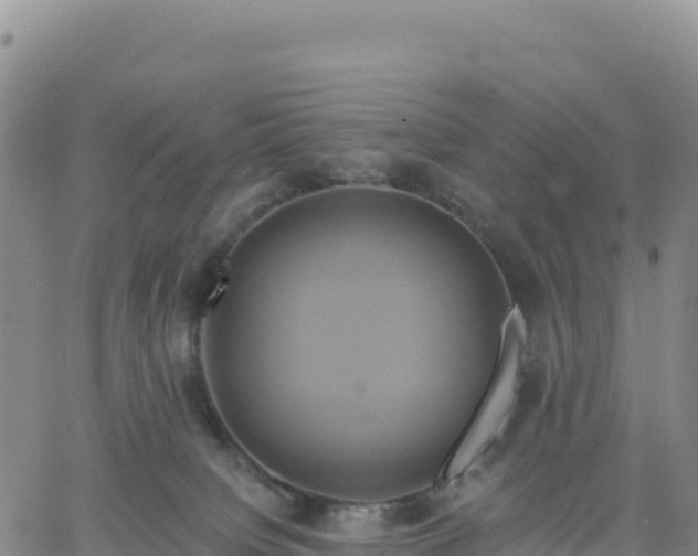 X0000061750084200512091646