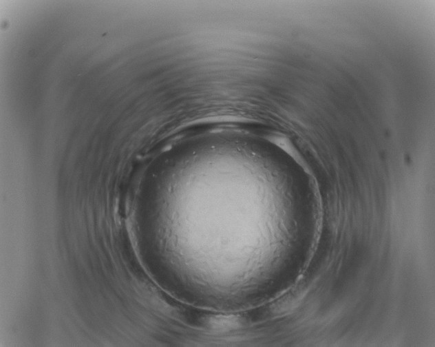 X0000061750085200512091646