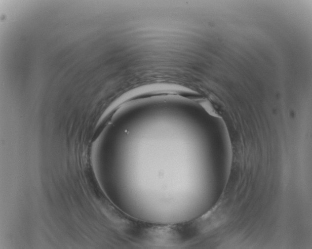 X0000061750086200512091646