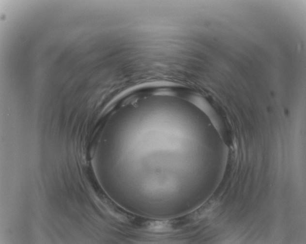 X0000061750088200512091646