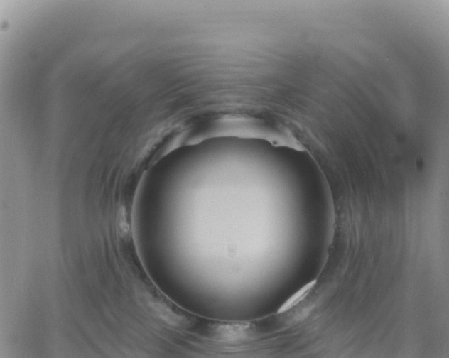 X0000061750089200512091647