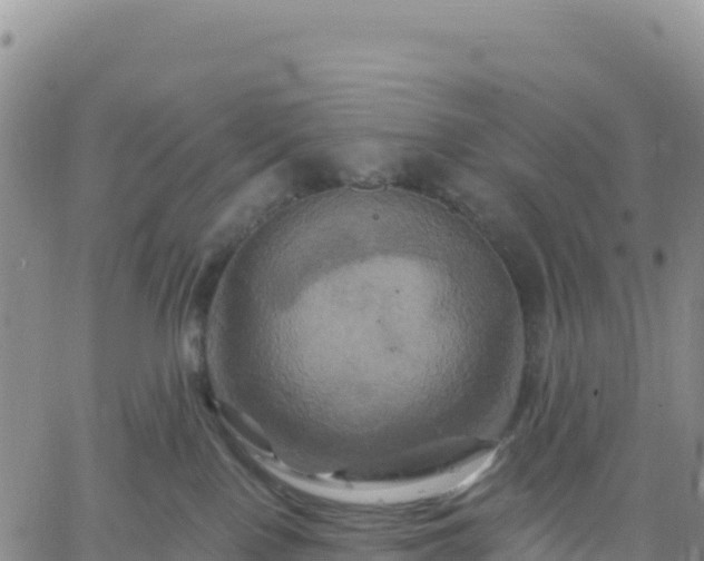 X0000061750090200512091647