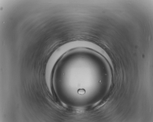 X0000061750092200512091647