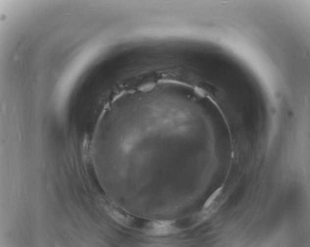 X0000061750093200512091647