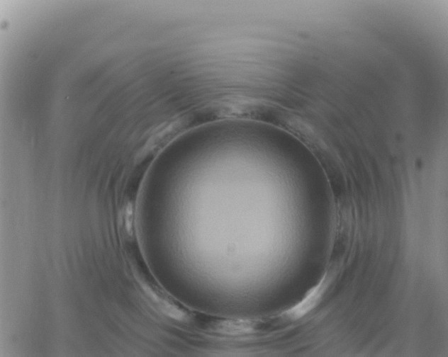 X0000061750094200512091647