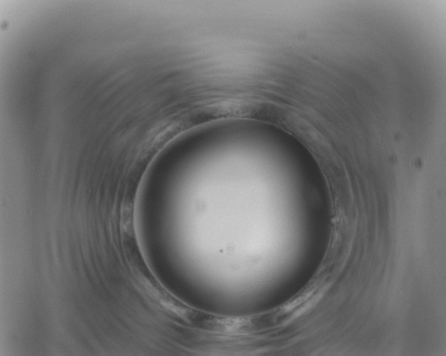 X0000061750096200512091647