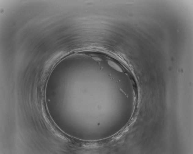 X0000061750097200512091646