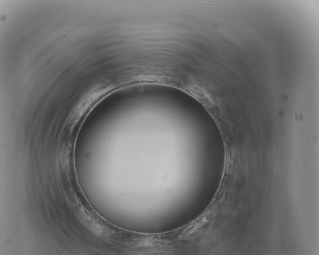 X0000061750098200512091646