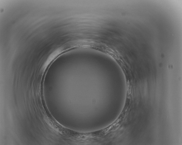 X0000061750099200512091646