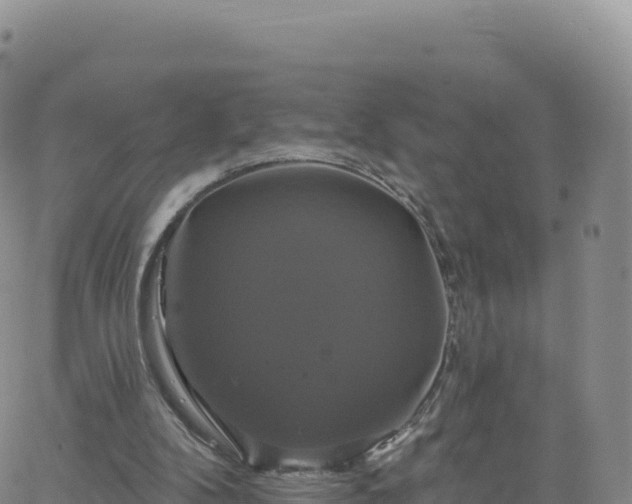 X0000061750104200512091646