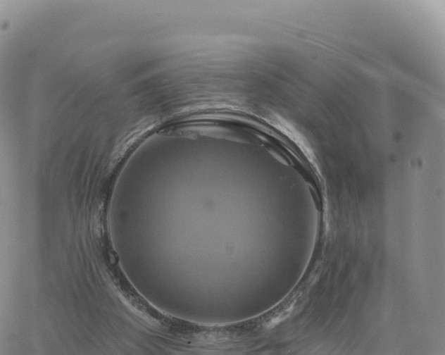 X0000061750105200512091646