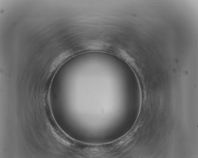 X0000061750106200512091646