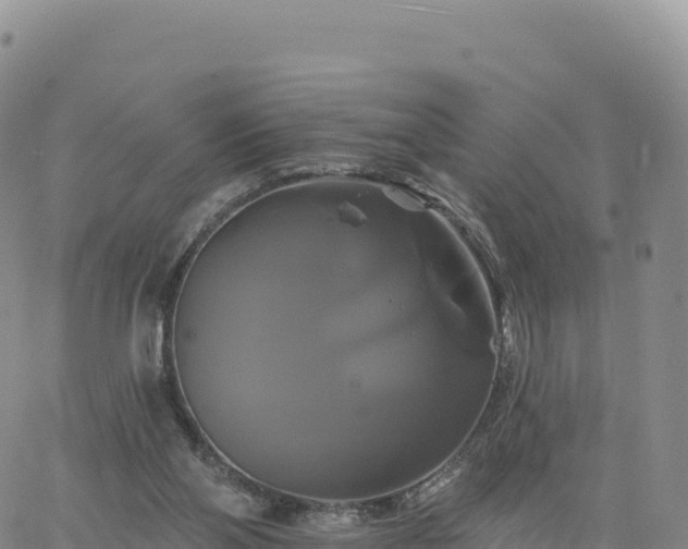 X0000061750110200512091646