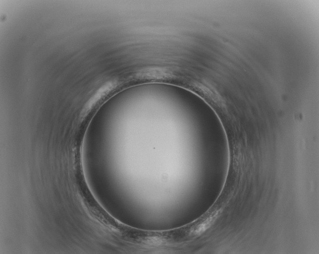 X0000061750111200512091646