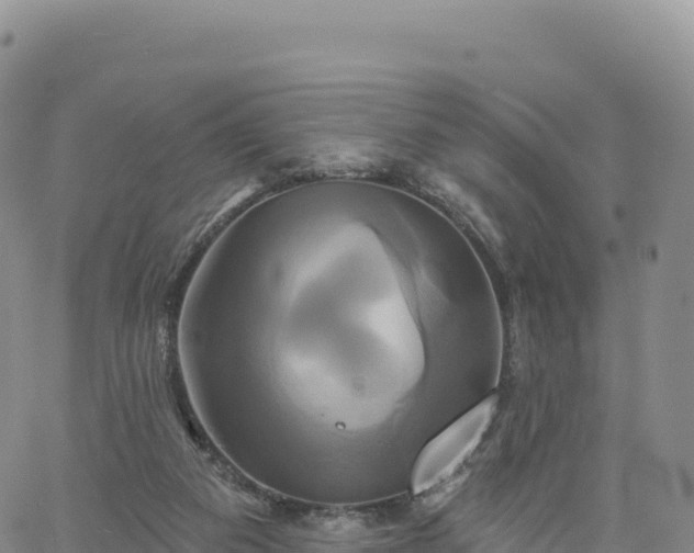 X0000061750113200512091646