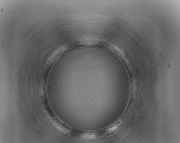 X0000061750114200512091646