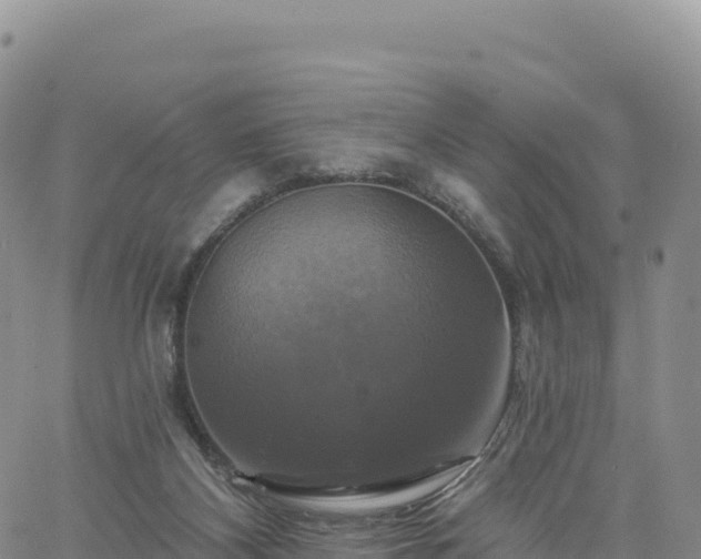 X0000061750116200512091646