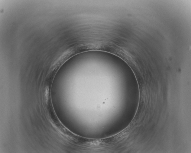 X0000061750118200512091645