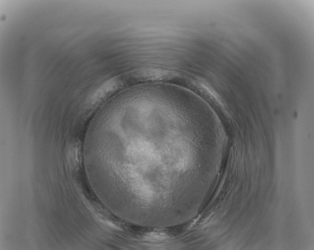 X0000061750119200512091645