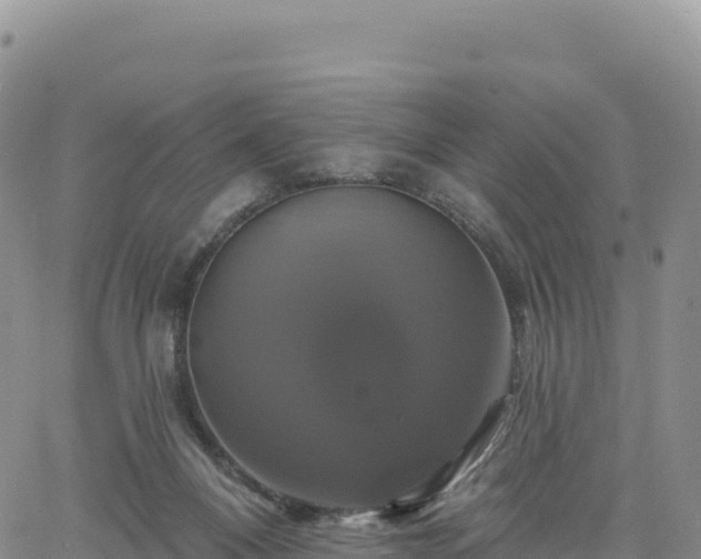 X0000061750120200512091645